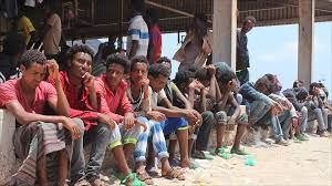 الهجرة الدولية تؤكد حاجة أكثر من 300 الف مهاجر في اليمن للمساعدة الإنسانية والحماية